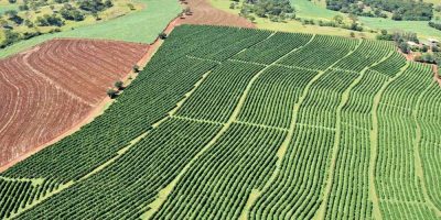 Faesc alerta Sindicatos Rurais a conferirem Valor da Terra Nua/Foto: Internet