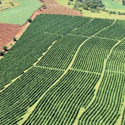 Faesc alerta Sindicatos Rurais a conferirem Valor da Terra Nua/Foto: Internet