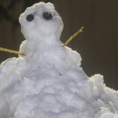 Boneco de neve em Bom Jardim da Serra na noite desta quinta-feira (20)/Foto: Onéris Lopes/Amures