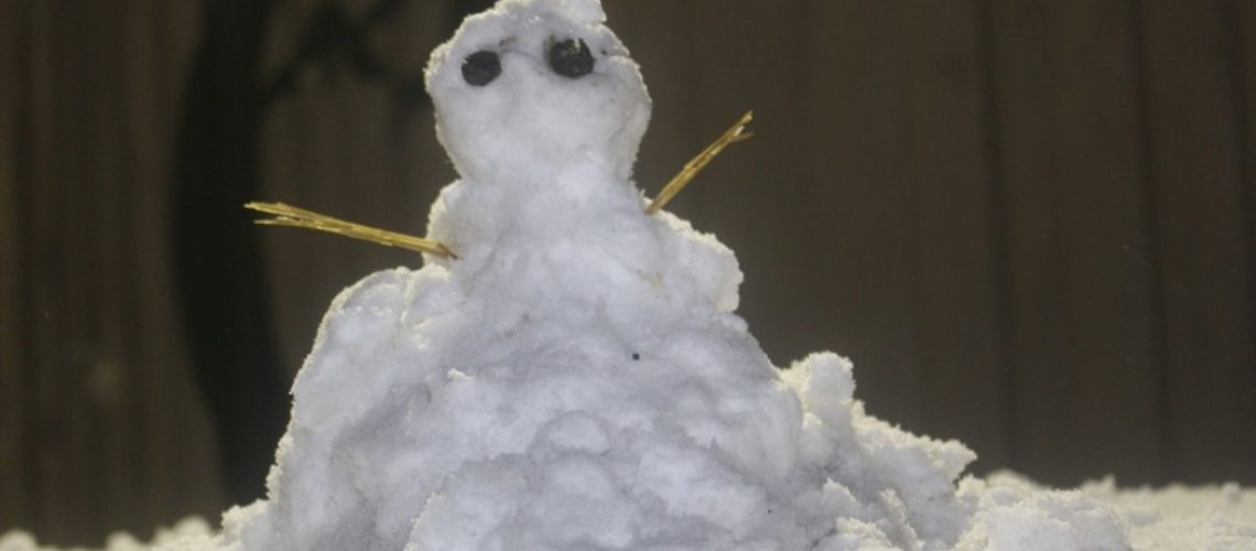 Boneco de neve em Bom Jardim da Serra na noite desta quinta-feira (20)/Foto: Onéris Lopes/Amures