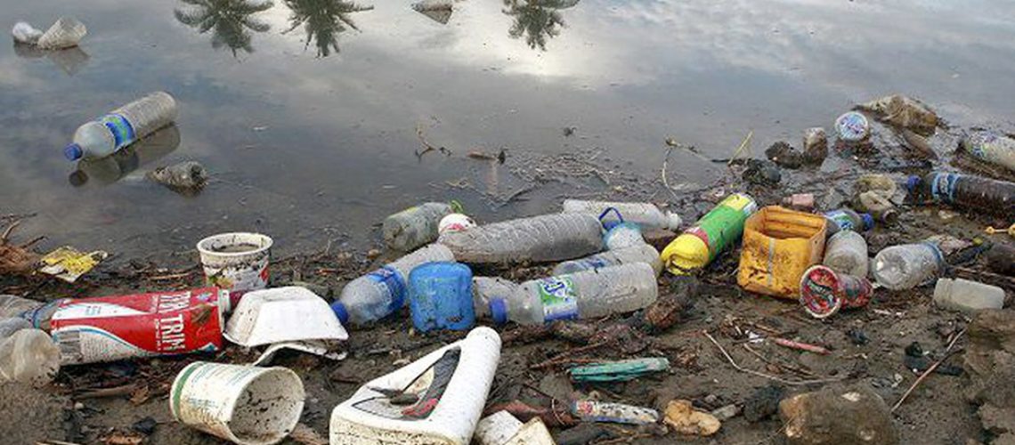 Plástico corresponde a 48,5% dos itens encontrados no mar/Foto: Martine Perret