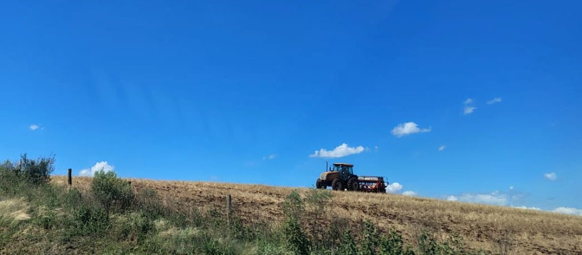 Imóveis rurais de devedores podem ser usados para reforma agrária/Foto: Maely Silva-Bom Dia SC