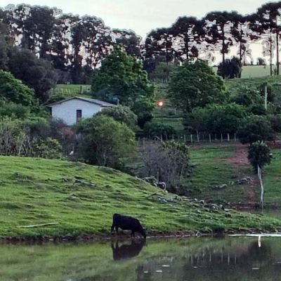 Faesc/Senar apresenta levantamento e monitoramento dos preços municipais de terra nua em SC/Foto: Maythe Novak-TV Bom Dia SC