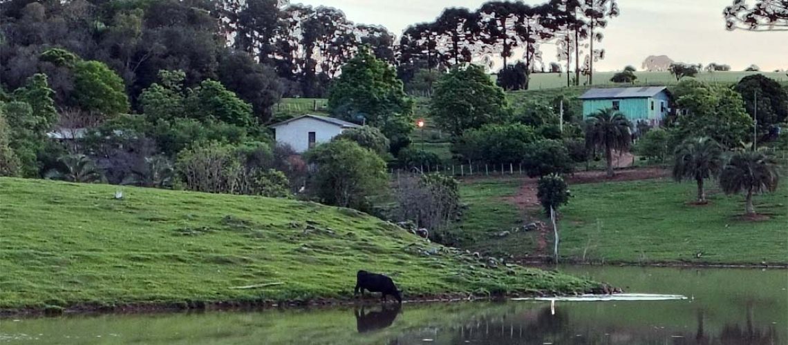 Faesc/Senar apresenta levantamento e monitoramento dos preços municipais de terra nua em SC/Foto: Maythe Novak-TV Bom Dia SC