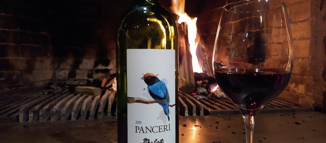 Conheça os benefícios do consumo de vinho para a saúde/Foto : Bom Dia SC