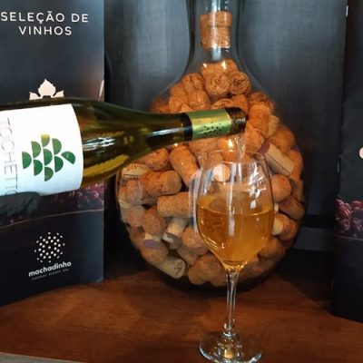 Tochetto Chardonnay é um vinho fino branco seco, elaborado 100% a partir de uvas selecionadas da variedade Chardonnay/Foto: Bom Dia SC