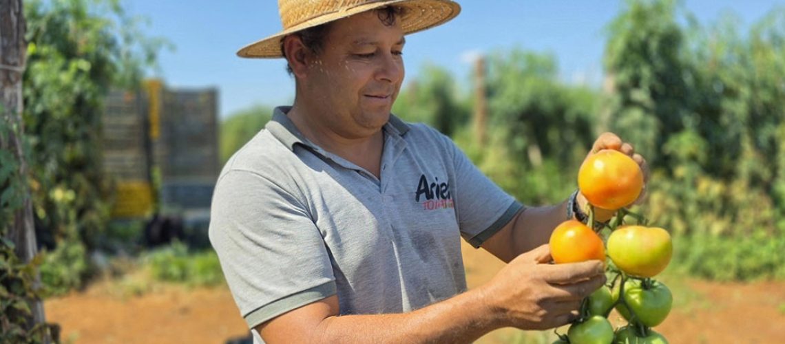 Lebon Régis se destaca na produção de hortifruti em Santa Catarina