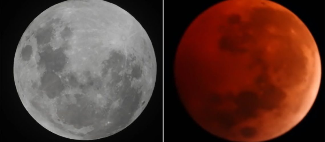 Lua de Sangue encanta o Brasil e o mundo/ Foto: Avrum Kotliarenko